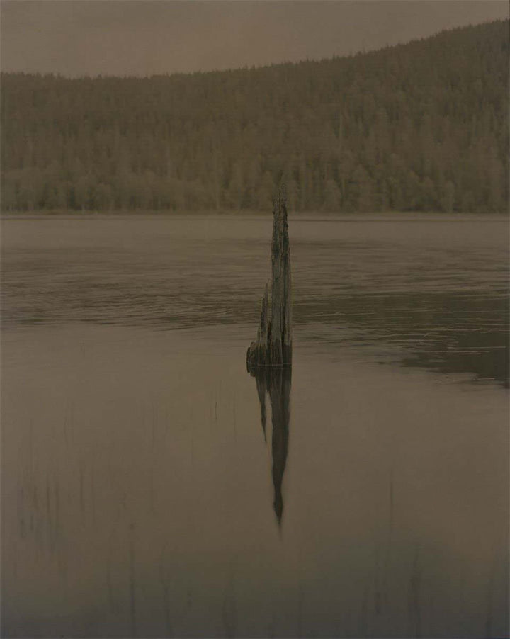 Gertrud by Maja Daniels - Tipi bookshop