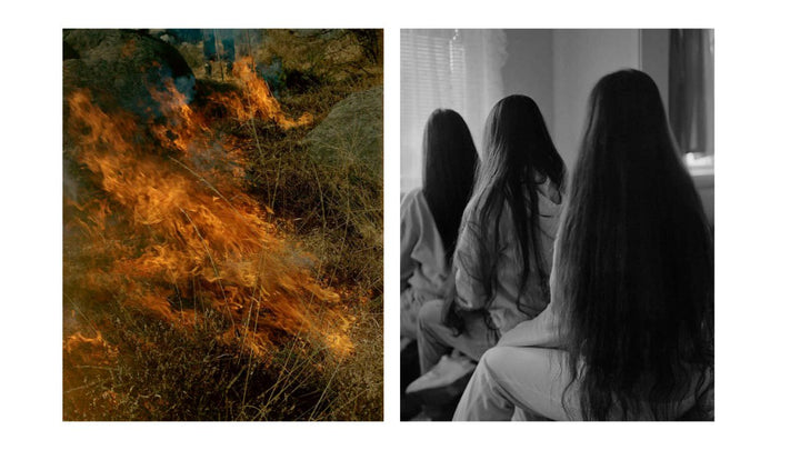 Gertrud by Maja Daniels - Tipi bookshop