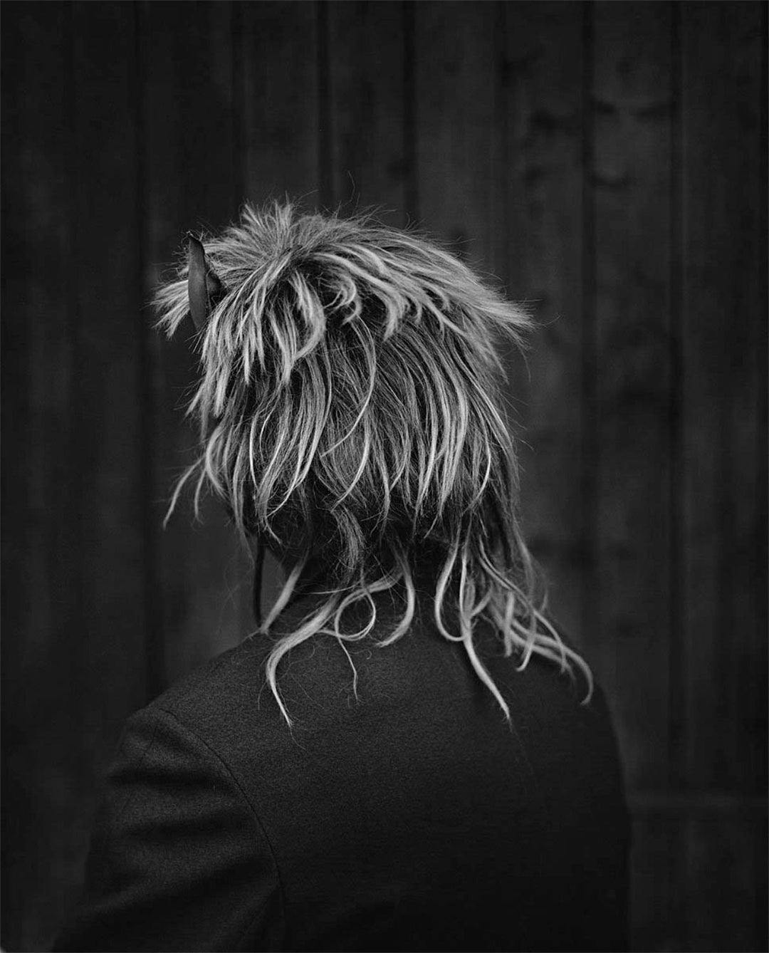 Gertrud by Maja Daniels - Tipi bookshop