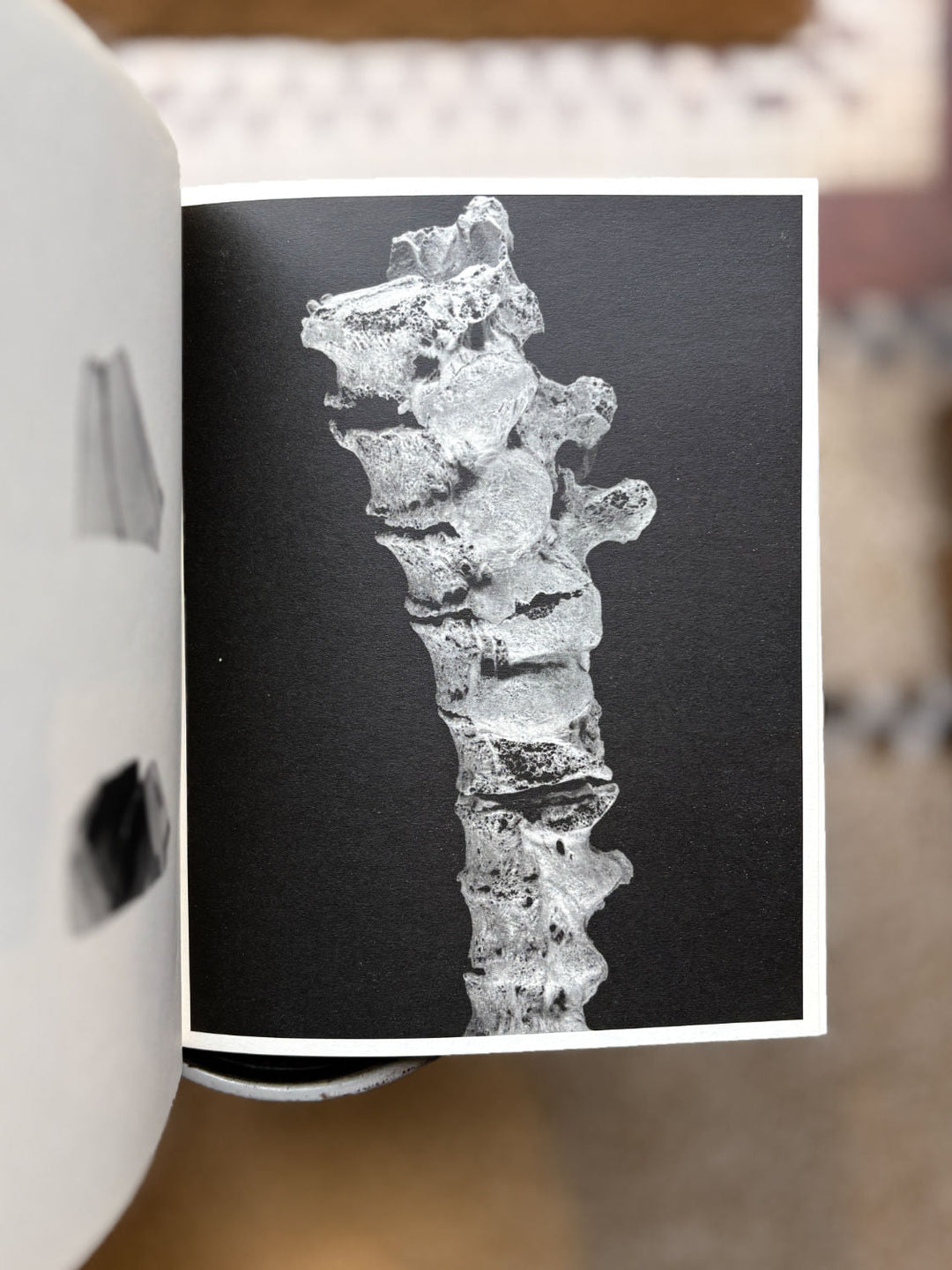 Giu in fondo by Davide Fecarotti - Tipi bookshop