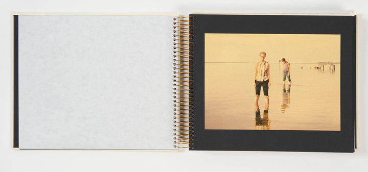 Golden memories by Lee Shulman - Tipi bookshop