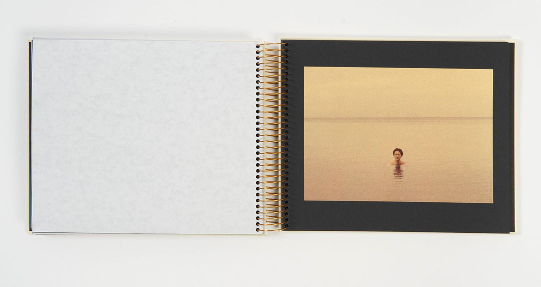 Golden memories by Lee Shulman - Tipi bookshop