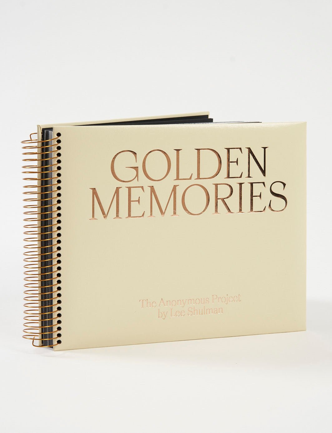 Golden memories by Lee Shulman - Tipi bookshop