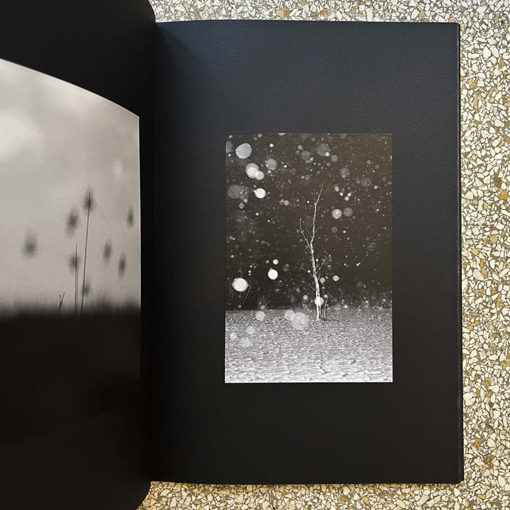 Gravity fields by Rienk De Vries - Tipi bookshop