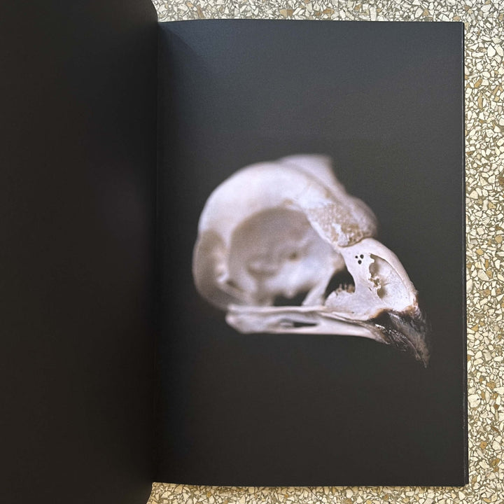 Gravity fields by Rienk De Vries - Tipi bookshop