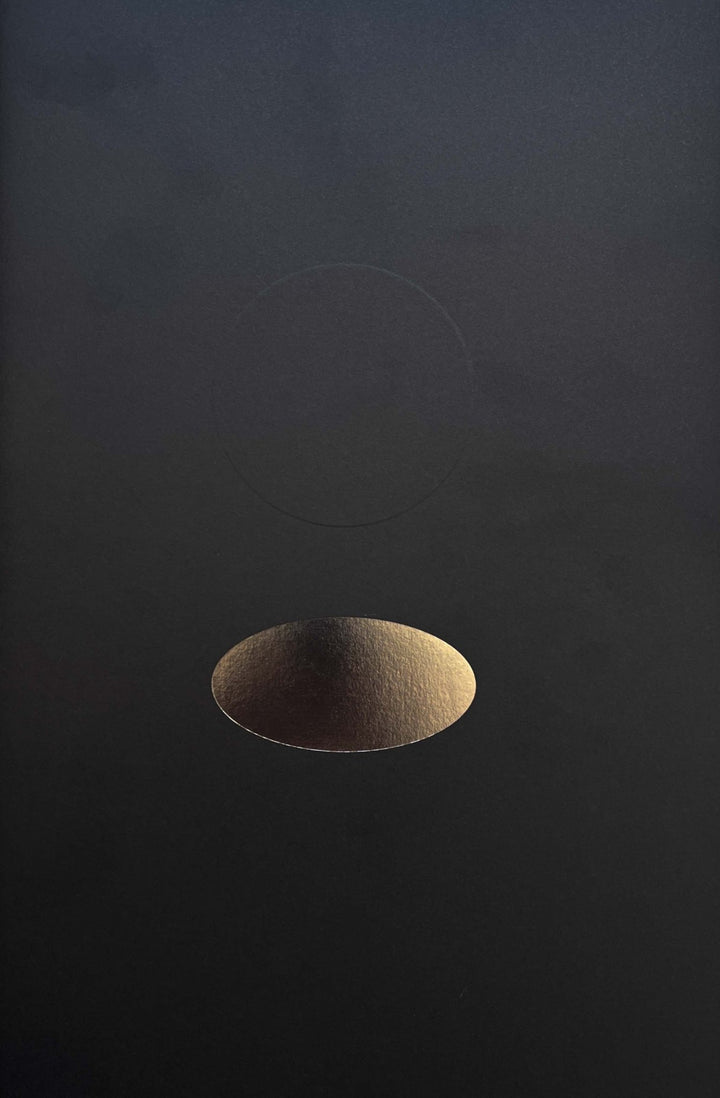 Gravity fields by Rienk De Vries - Tipi bookshop
