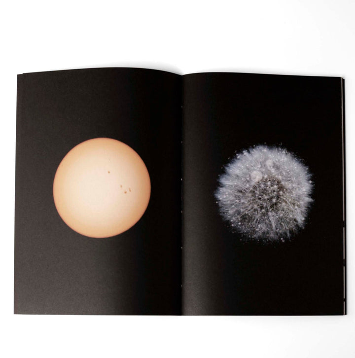 Gravity fields by Rienk De Vries - Tipi bookshop