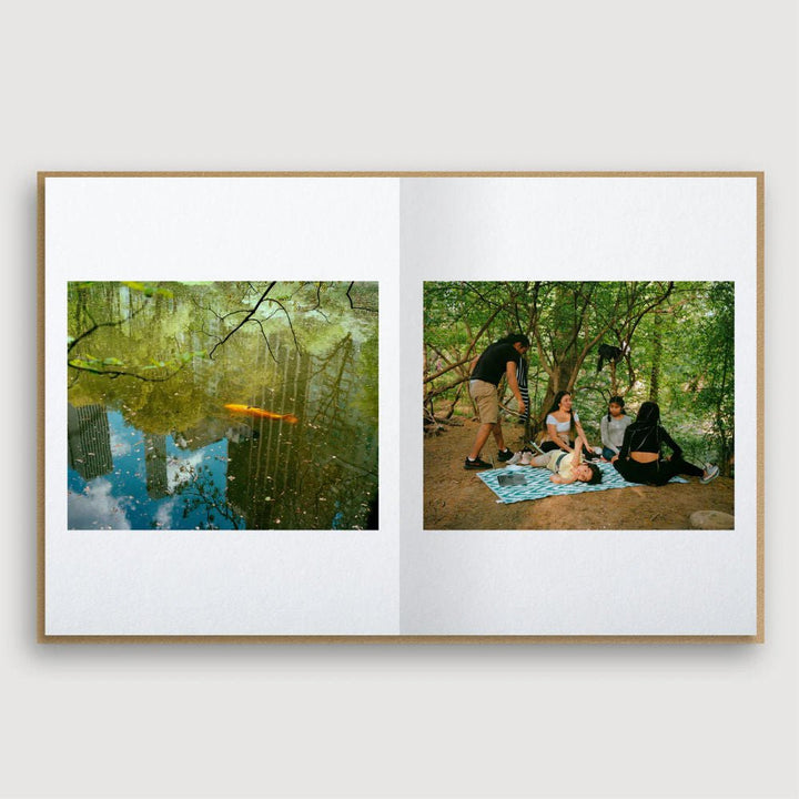 Guest Edition Combo - Tipi bookshop