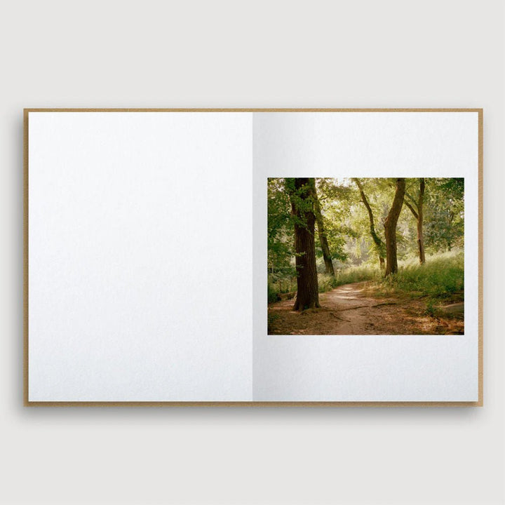 Guest Edition Combo - Tipi bookshop