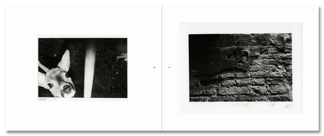 Guido Guidi: The Early Black - and - White Bundle (1969–82) - Tipi bookshop