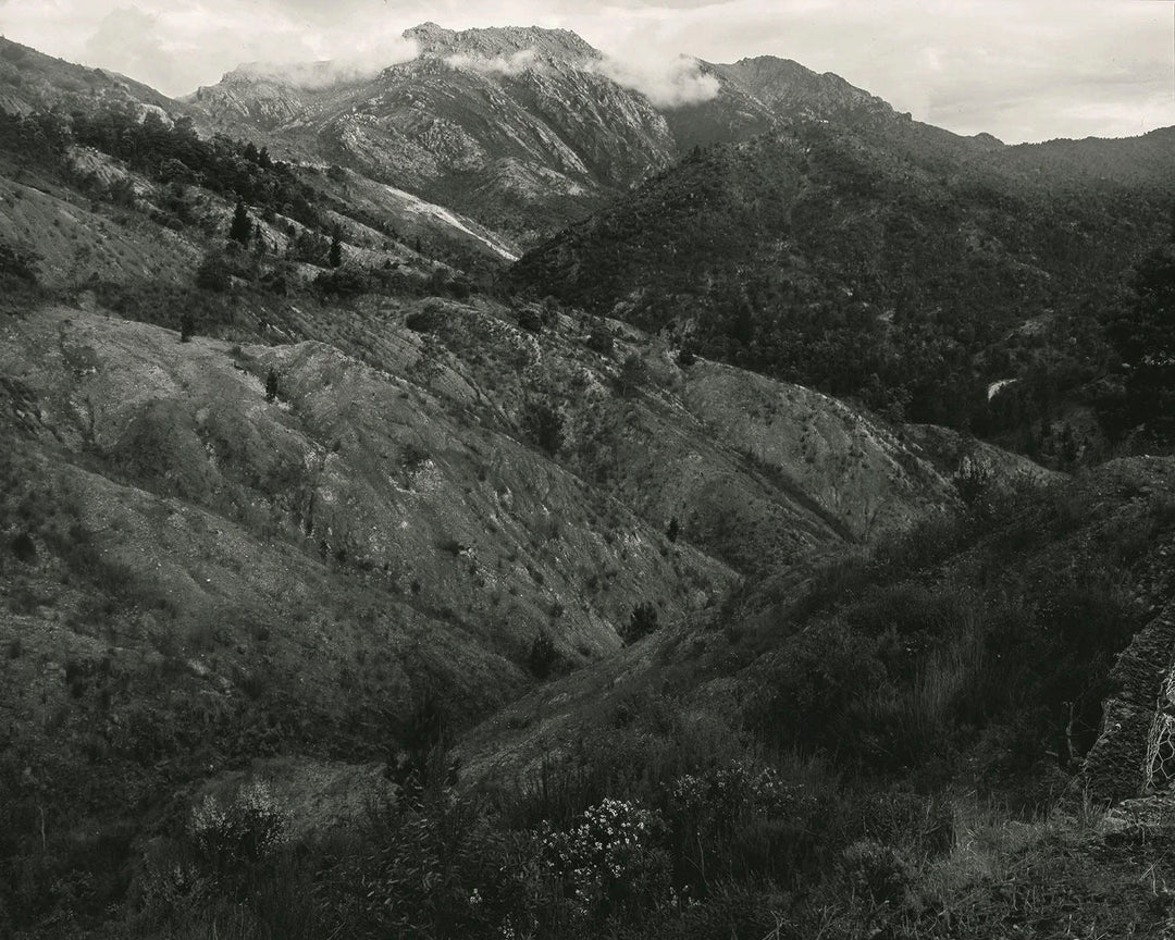 Gumsucker by Rory King - Tipi bookshop