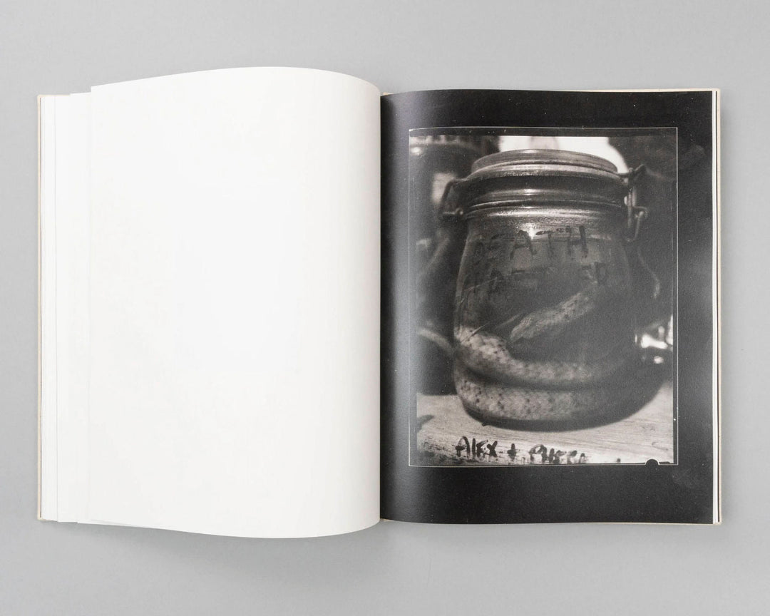 Gumsucker by Rory King - Tipi bookshop