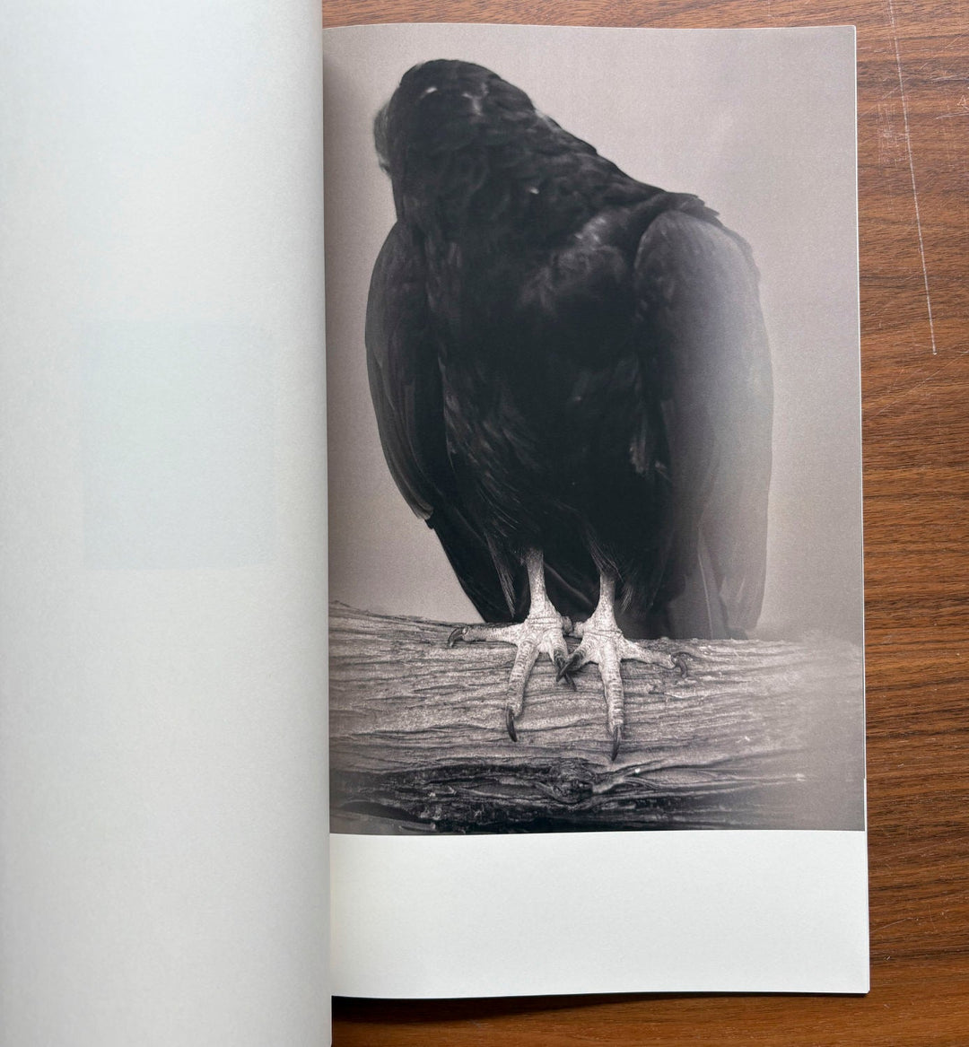 Half a Chisel to the Earth by Tommy Nease - Tipi bookshop