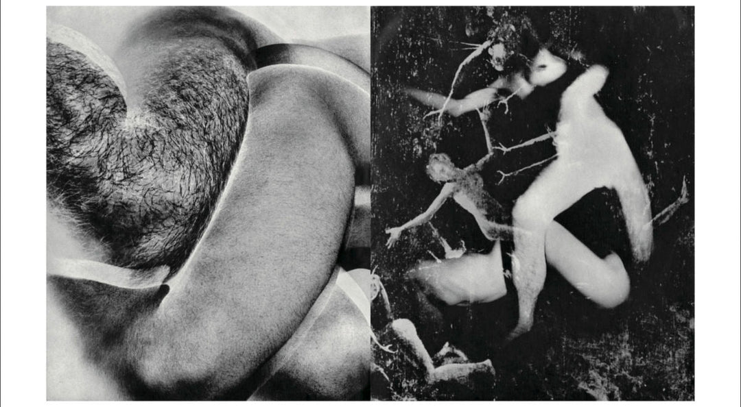 Homo Ludens by Masahisa Fukase - Tipi bookshop