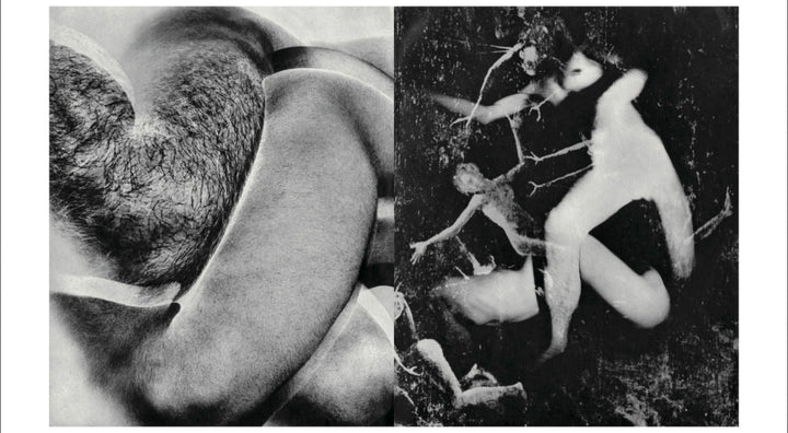 Homo Ludens by Masahisa Fukase - Tipi bookshop