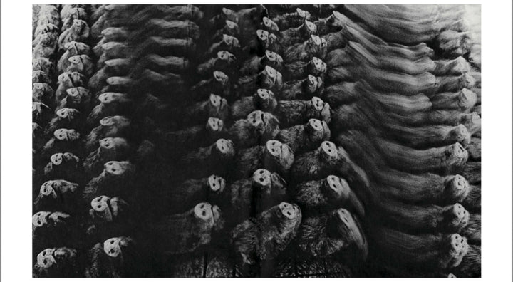 Homo Ludens by Masahisa Fukase - Tipi bookshop