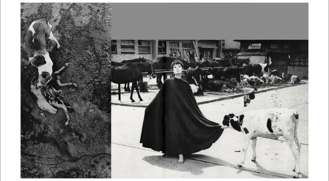 Homo Ludens by Masahisa Fukase - Tipi bookshop