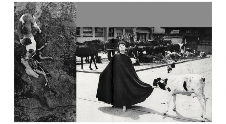 Homo Ludens by Masahisa Fukase - Tipi bookshop