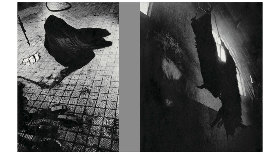 Homo Ludens by Masahisa Fukase - Tipi bookshop