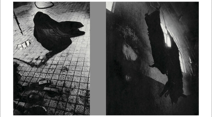 Homo Ludens by Masahisa Fukase - Tipi bookshop