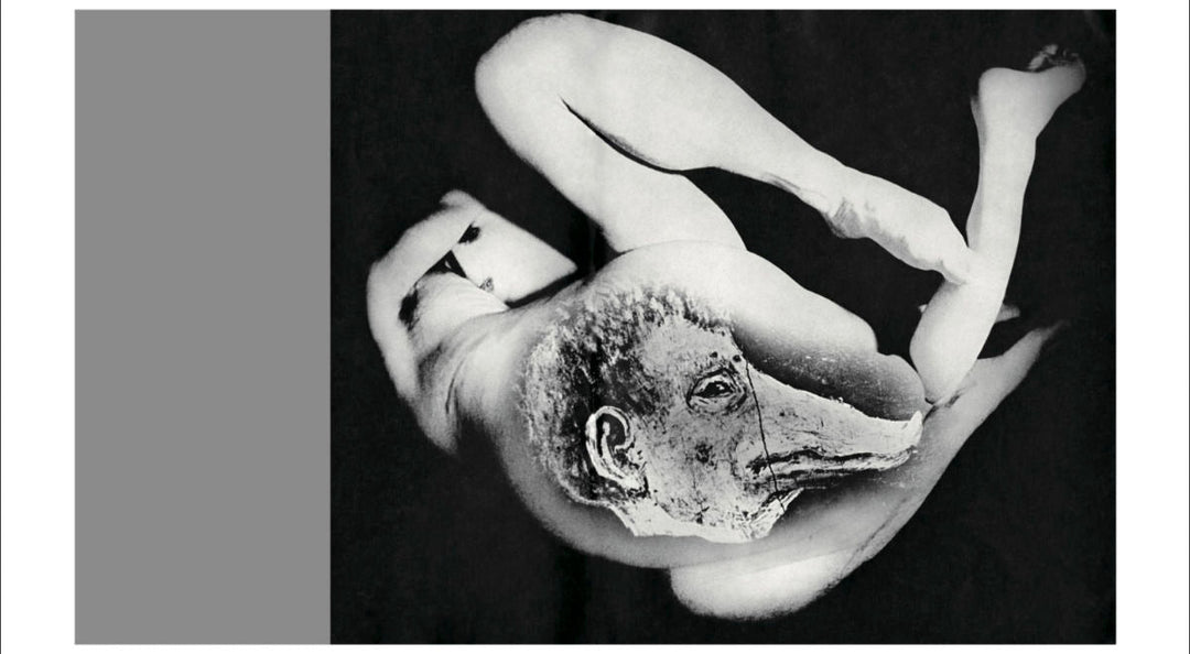 Homo Ludens by Masahisa Fukase - Tipi bookshop