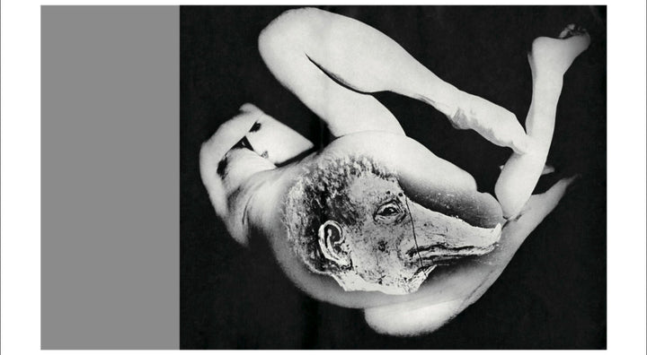 Homo Ludens by Masahisa Fukase - Tipi bookshop