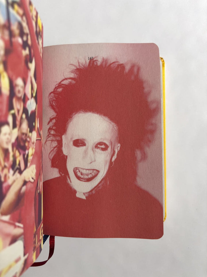 Homographs A pictionary book by Allegra Baggio Corradi - Tipi bookshop