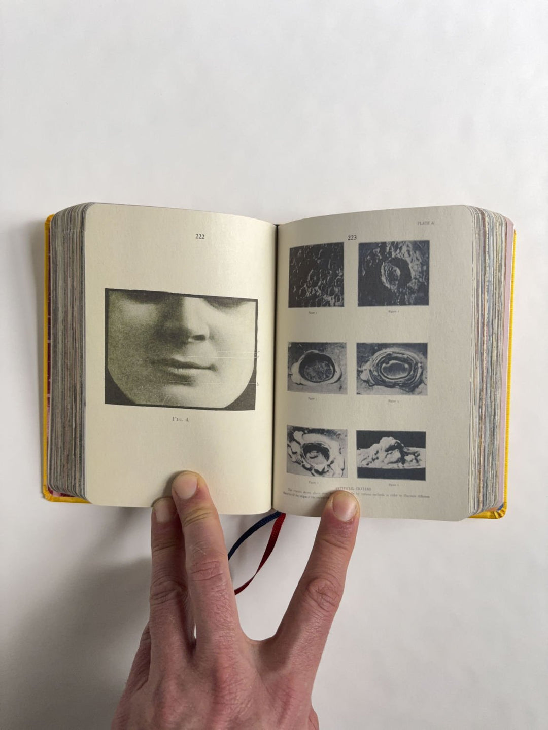 Homographs A pictionary book by Allegra Baggio Corradi - Tipi bookshop