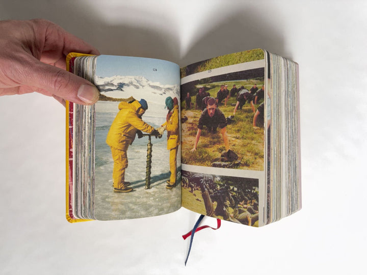 Homographs A pictionary book by Allegra Baggio Corradi - Tipi bookshop