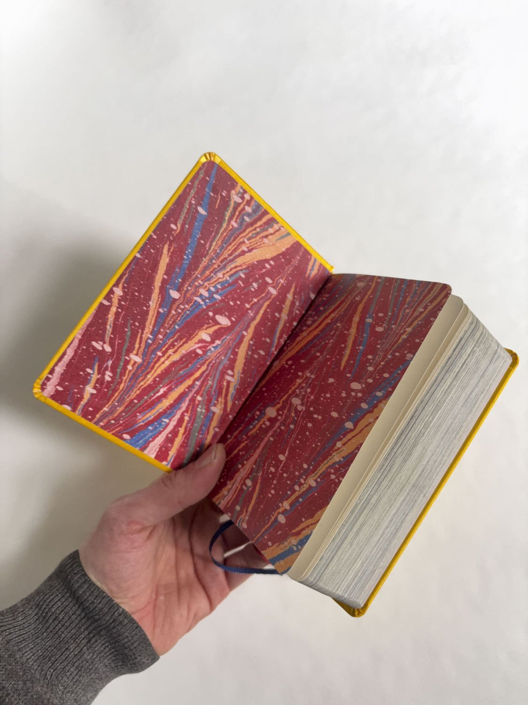 Homographs A pictionary book by Allegra Baggio Corradi - Tipi bookshop