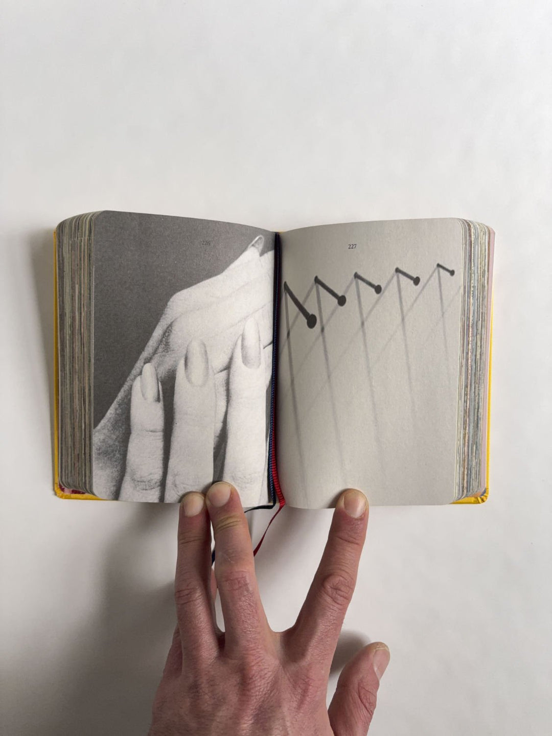 Homographs A pictionary book by Allegra Baggio Corradi - Tipi bookshop