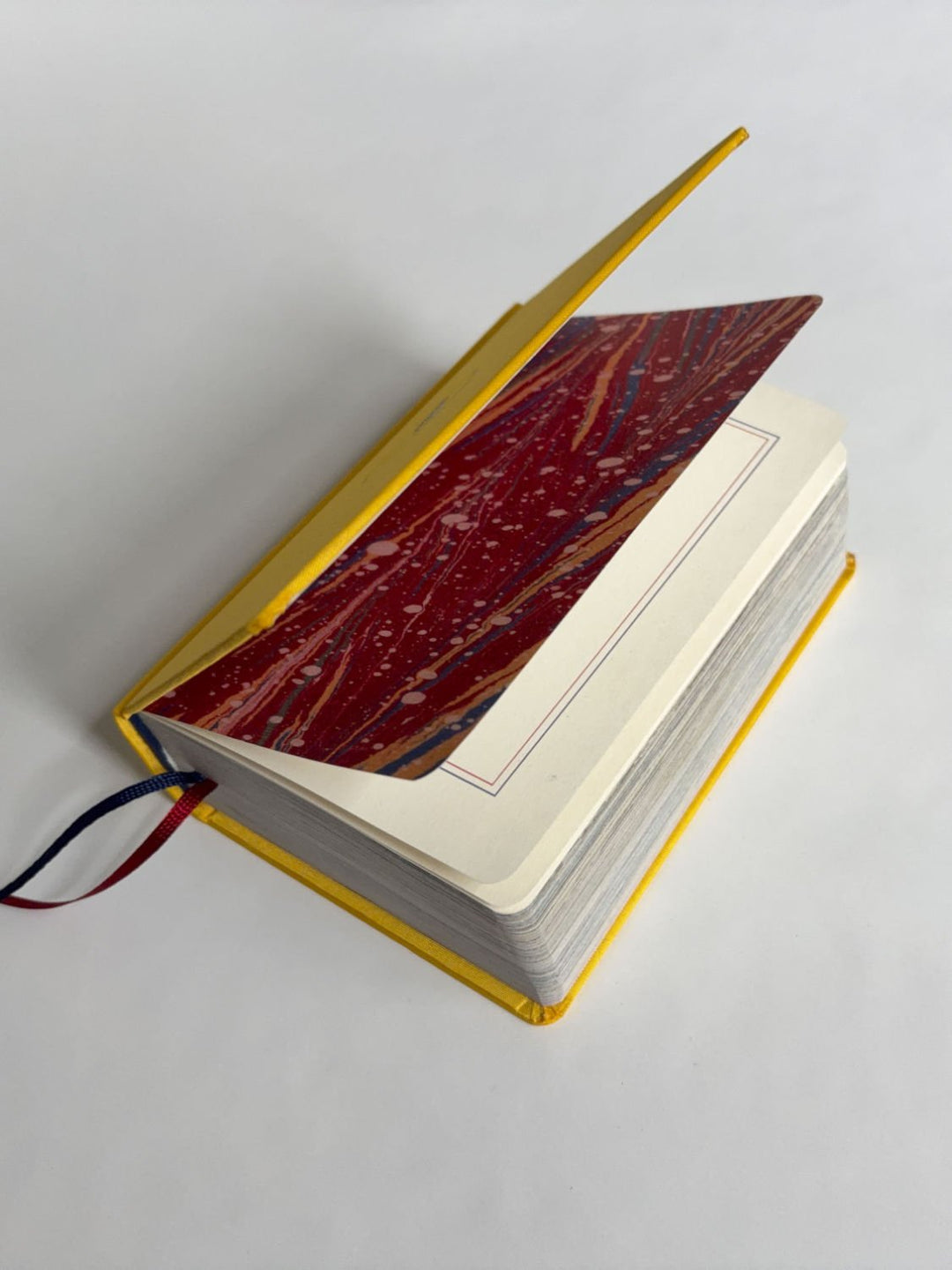 Homographs A pictionary book by Allegra Baggio Corradi - Tipi bookshop