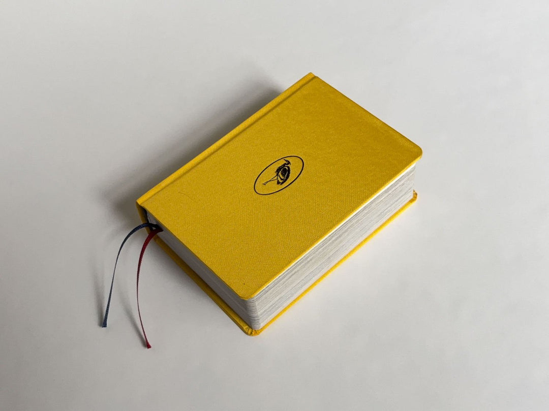 Homographs A pictionary book by Allegra Baggio Corradi - Tipi bookshop