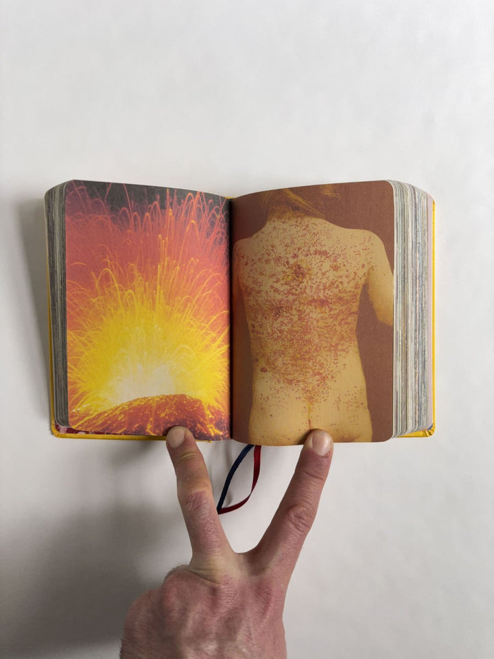 Homographs A pictionary book by Allegra Baggio Corradi - Tipi bookshop