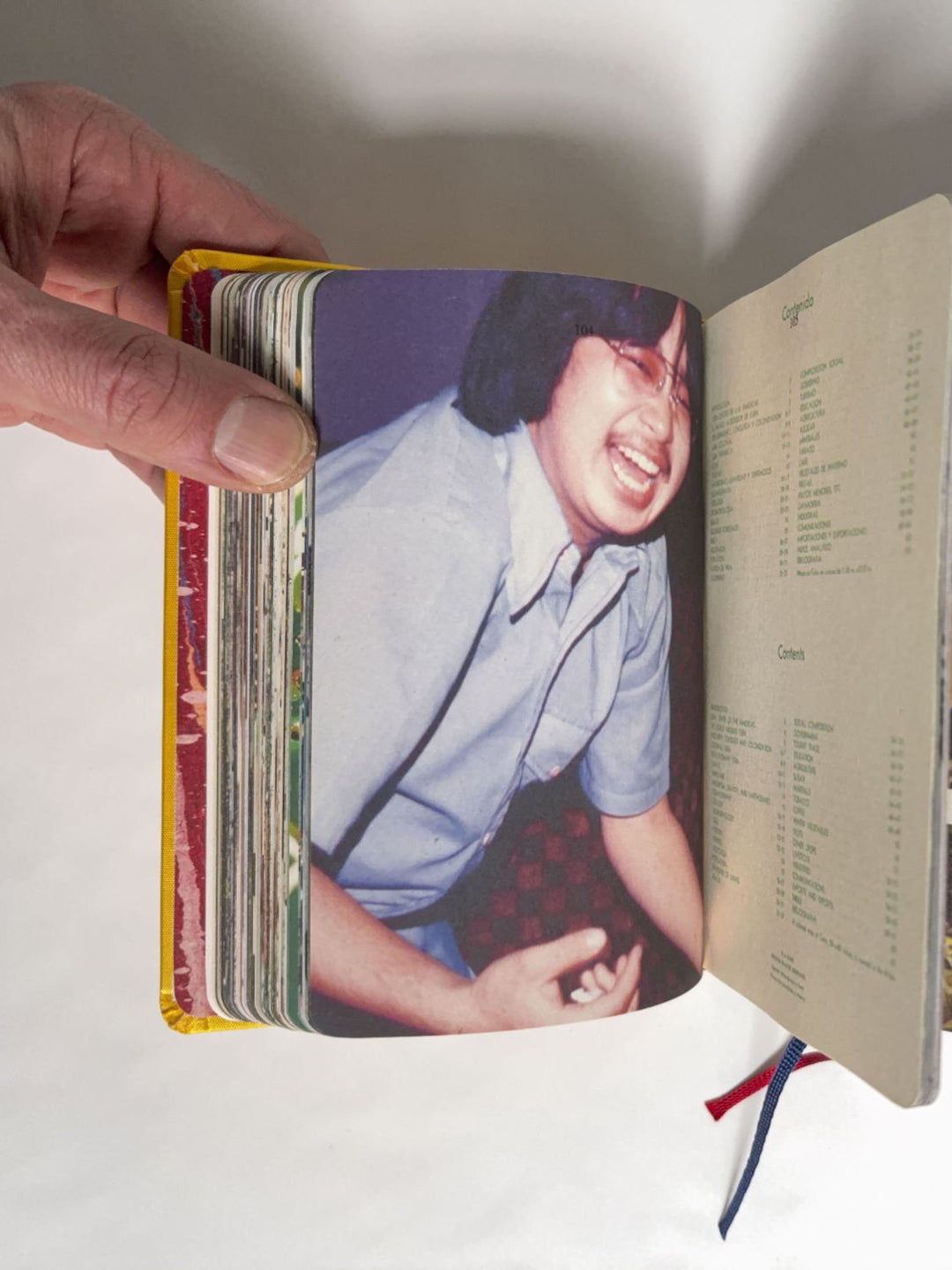 Homographs A pictionary book by Allegra Baggio Corradi - Tipi bookshop