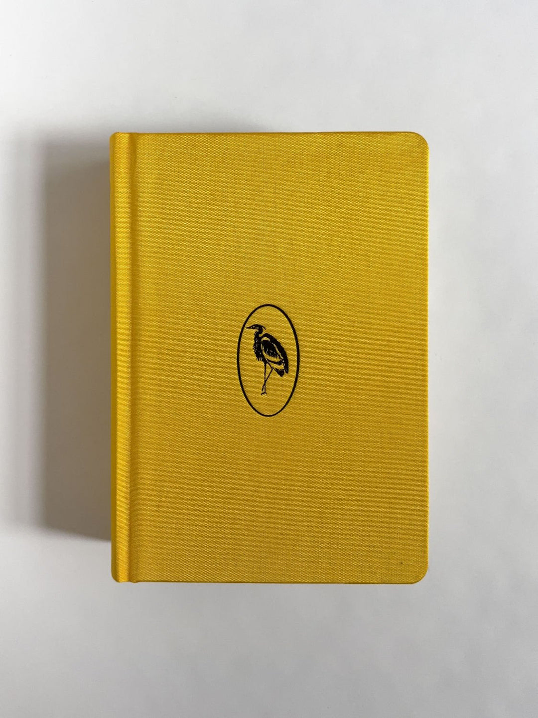 Homographs A pictionary book by Allegra Baggio Corradi - Tipi bookshop