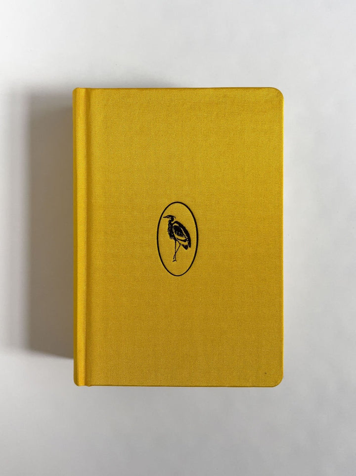 Homographs A pictionary book by Allegra Baggio Corradi - Tipi bookshop