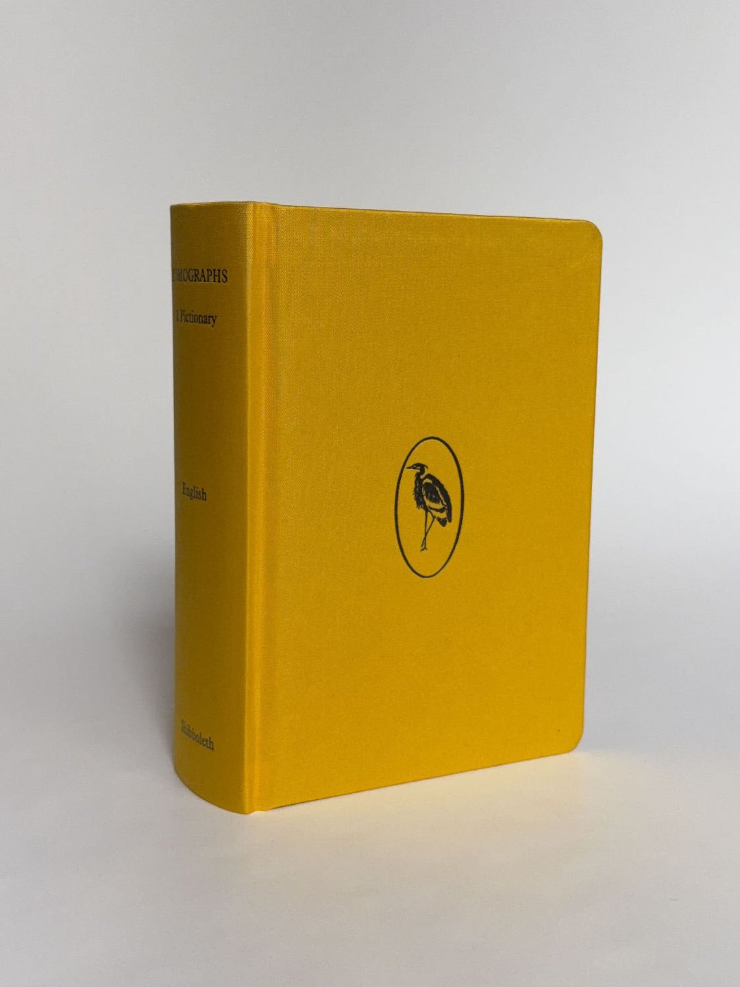 Homographs A pictionary book by Allegra Baggio Corradi - Tipi bookshop