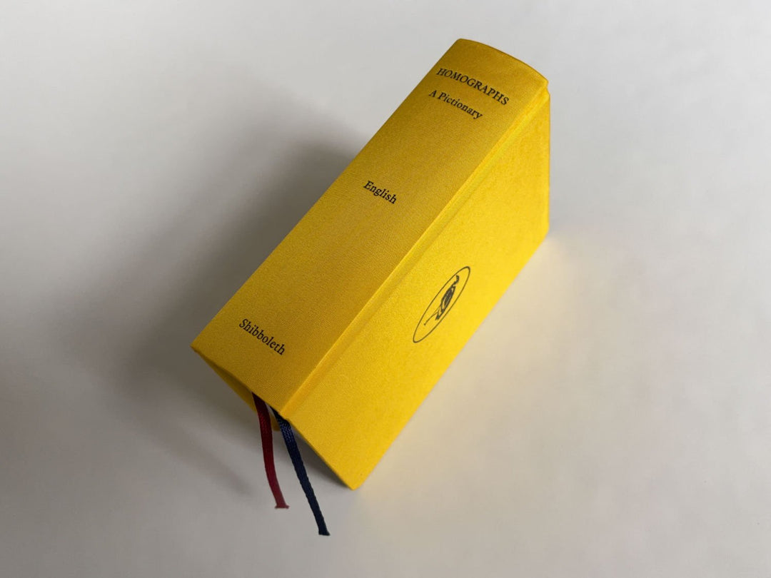 Homographs A pictionary book by Allegra Baggio Corradi - Tipi bookshop