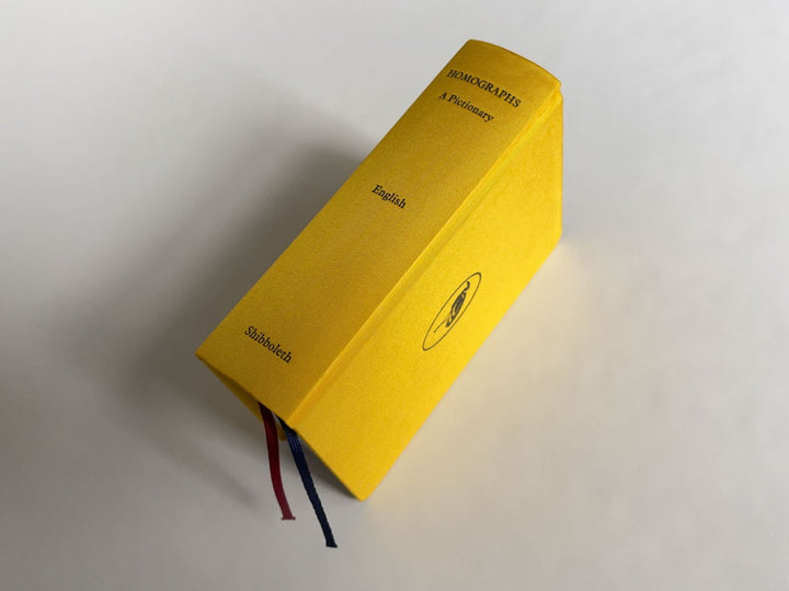 Homographs A pictionary book by Allegra Baggio Corradi - Tipi bookshop