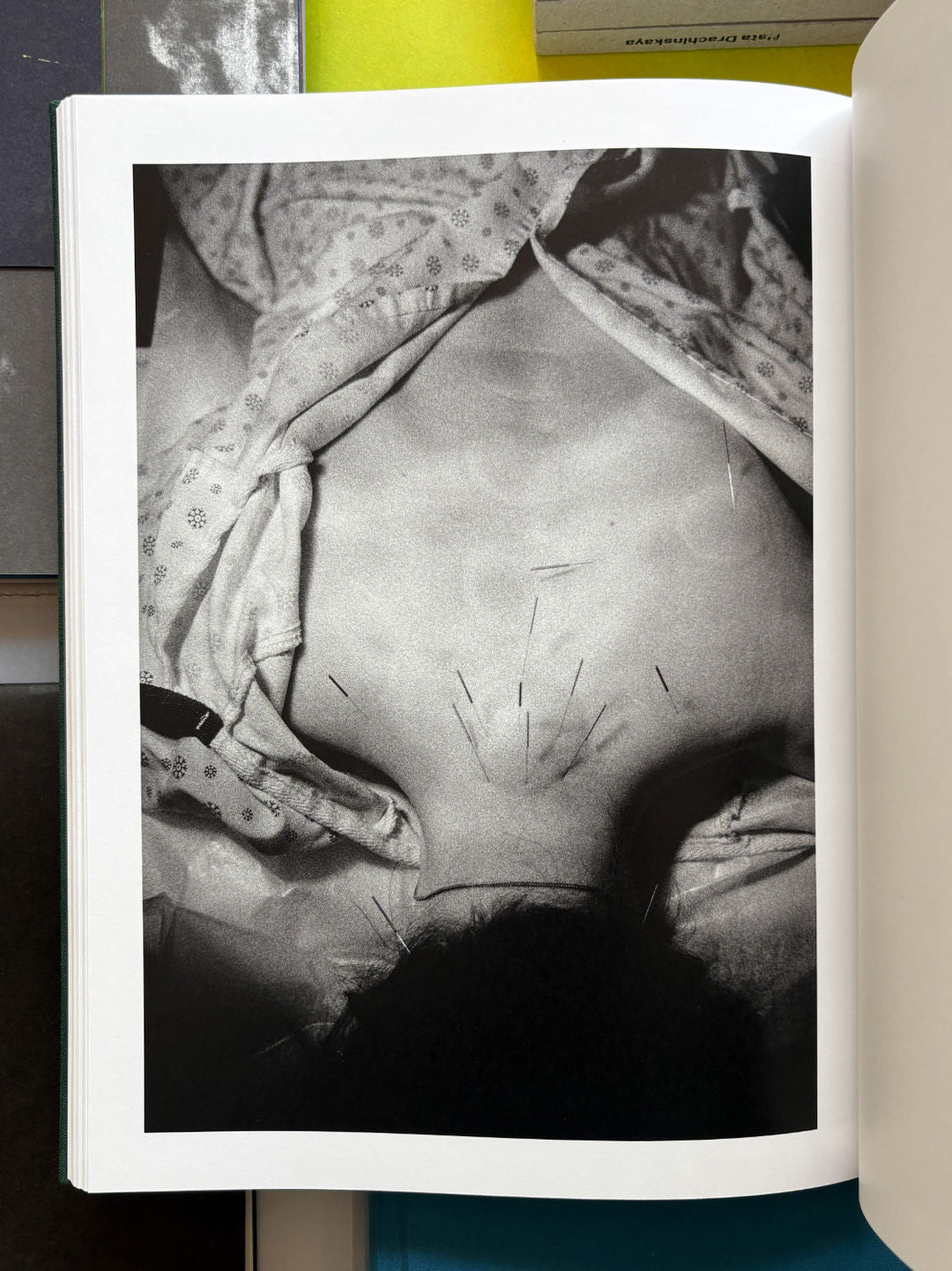 How About Never by Jerry Hsu - Tipi bookshop