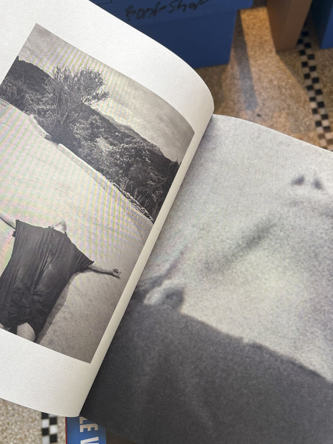 I Confess by Ingrid Horsselenberg - Tipi bookshop