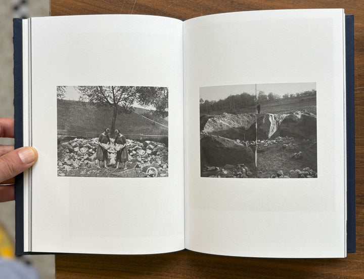 I Saw a Tree Bearing Stones in the Place of Apples and Pears by Emilia Martin - Tipi bookshop