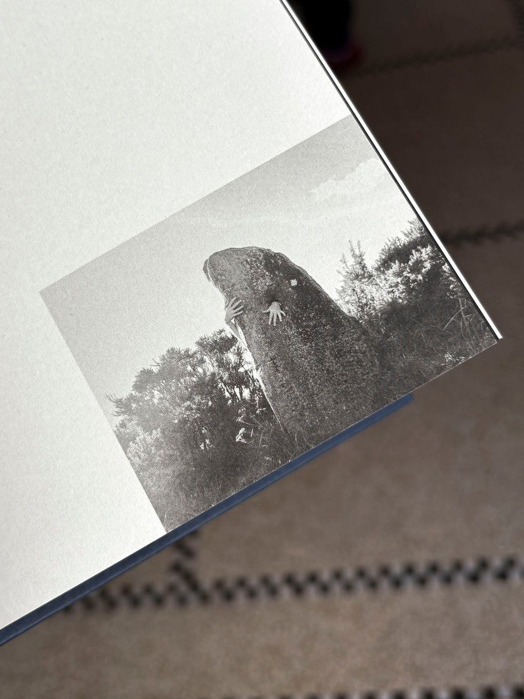 I Saw a Tree Bearing Stones in the Place of Apples and Pears by Emilia Martin - Tipi bookshop
