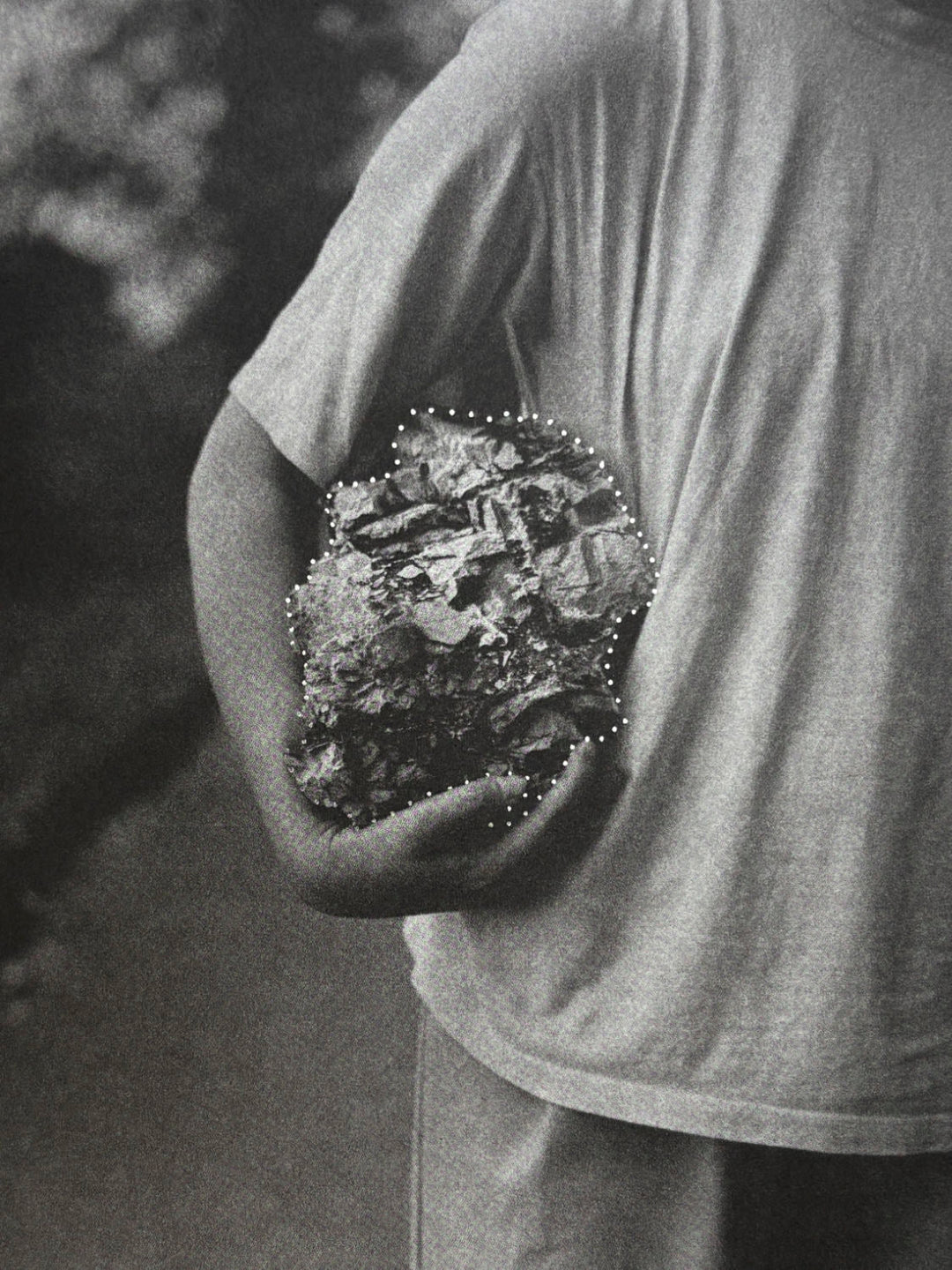 I Saw a Tree Bearing Stones in the Place of Apples and Pears by Emilia Martin - Tipi bookshop