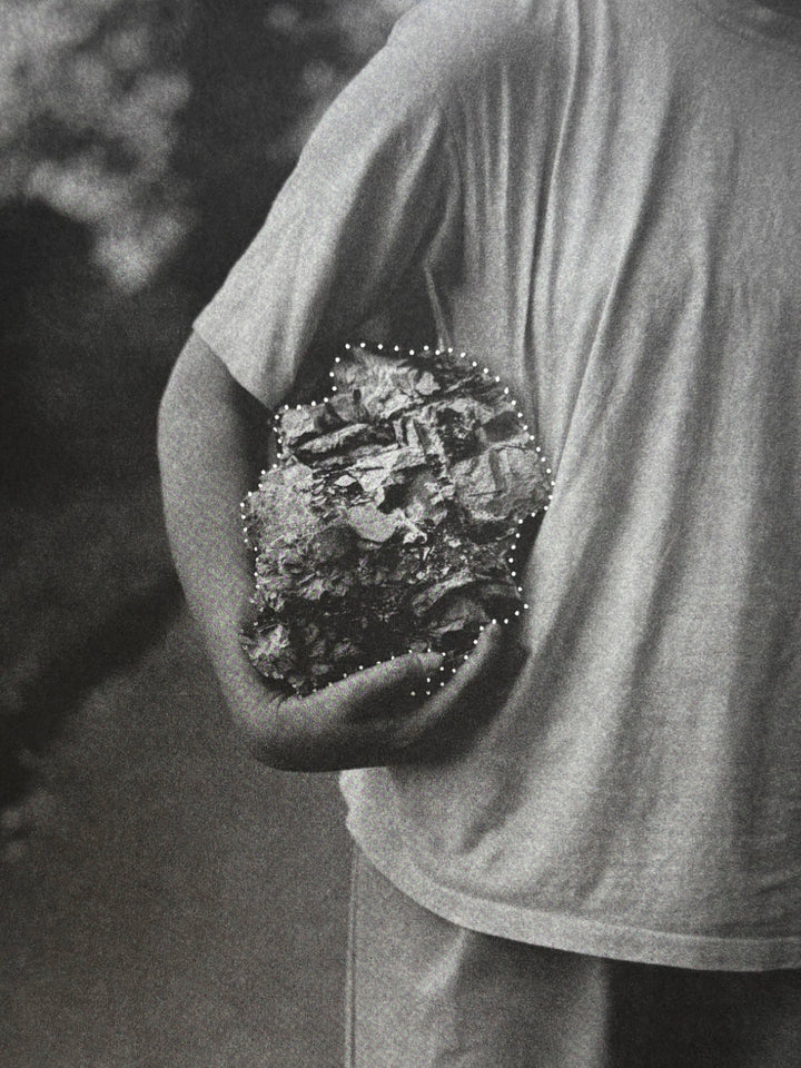 I Saw a Tree Bearing Stones in the Place of Apples and Pears by Emilia Martin - Tipi bookshop