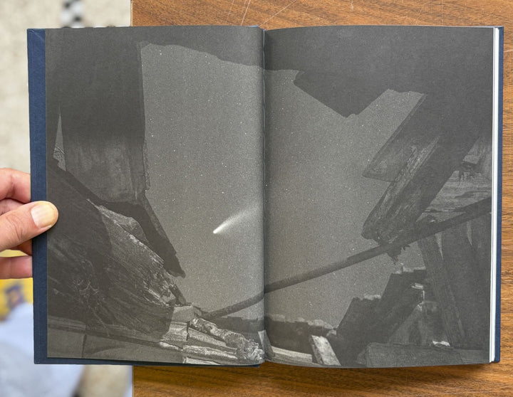 I Saw a Tree Bearing Stones in the Place of Apples and Pears by Emilia Martin - Tipi bookshop