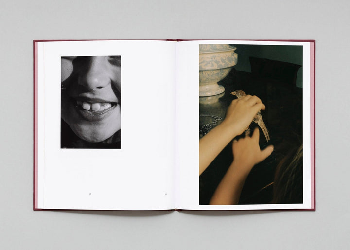 In Passing by Lisa Sorgini - Tipi bookshop