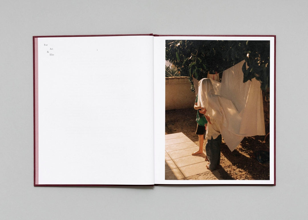 In Passing by Lisa Sorgini - Tipi bookshop