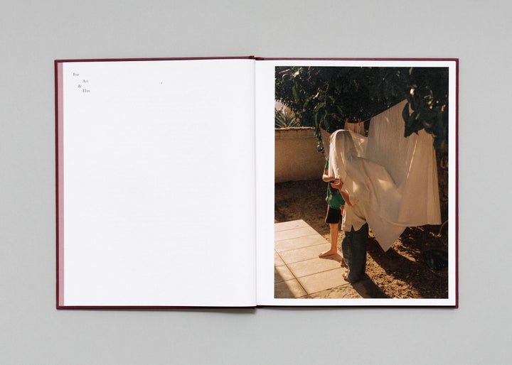 In Passing by Lisa Sorgini - Tipi bookshop